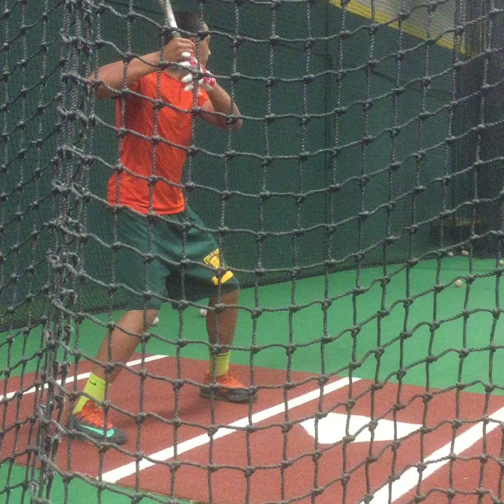 The Cage - Batting Cages Near Me - Belmont, California