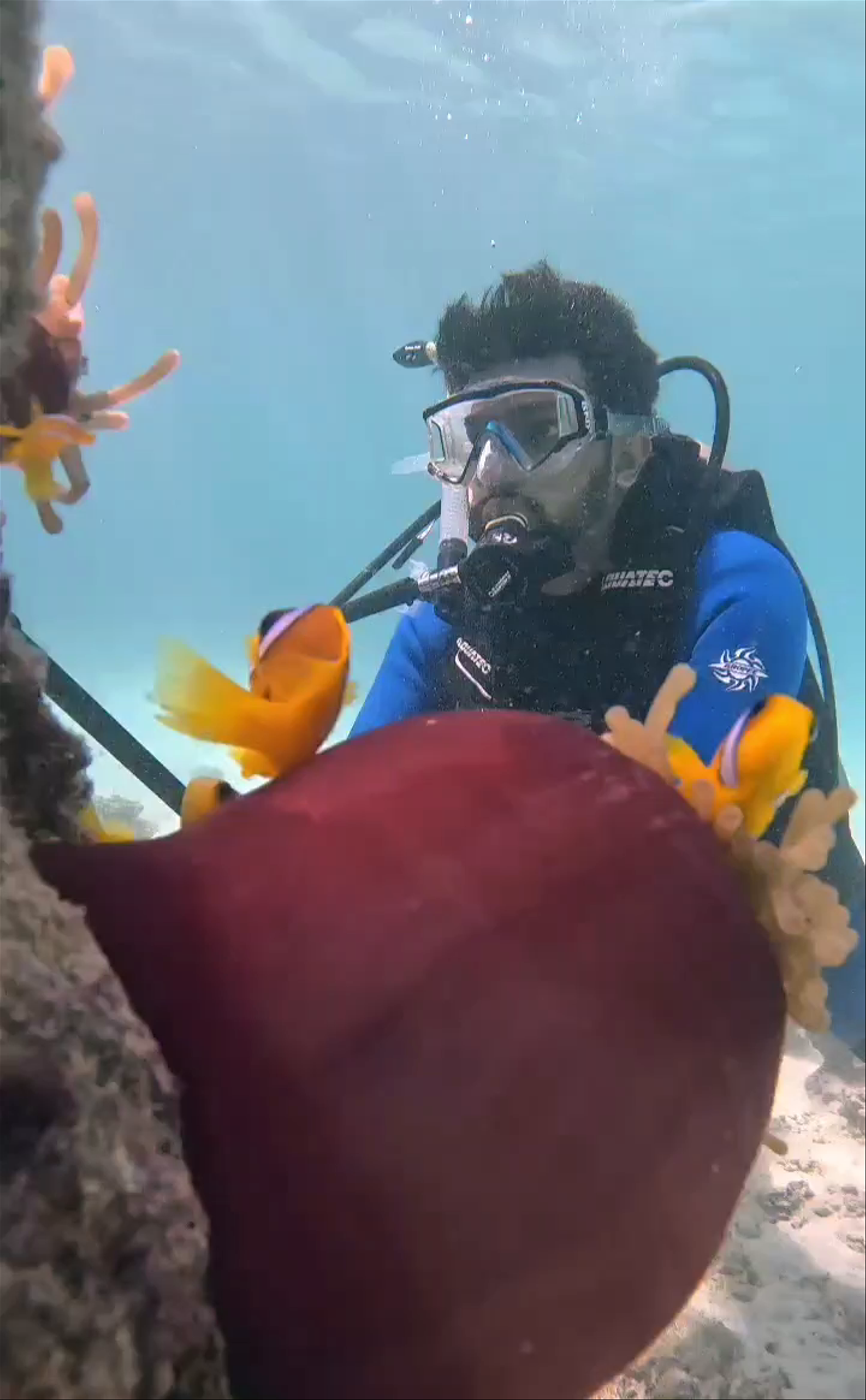 Al-Haddad Scuba