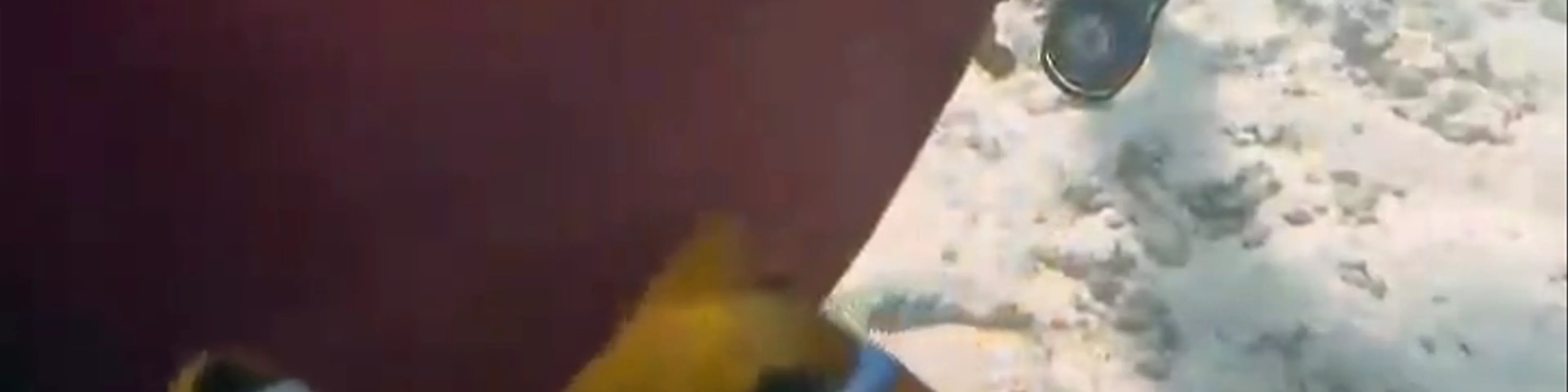 Al-Haddad Scuba