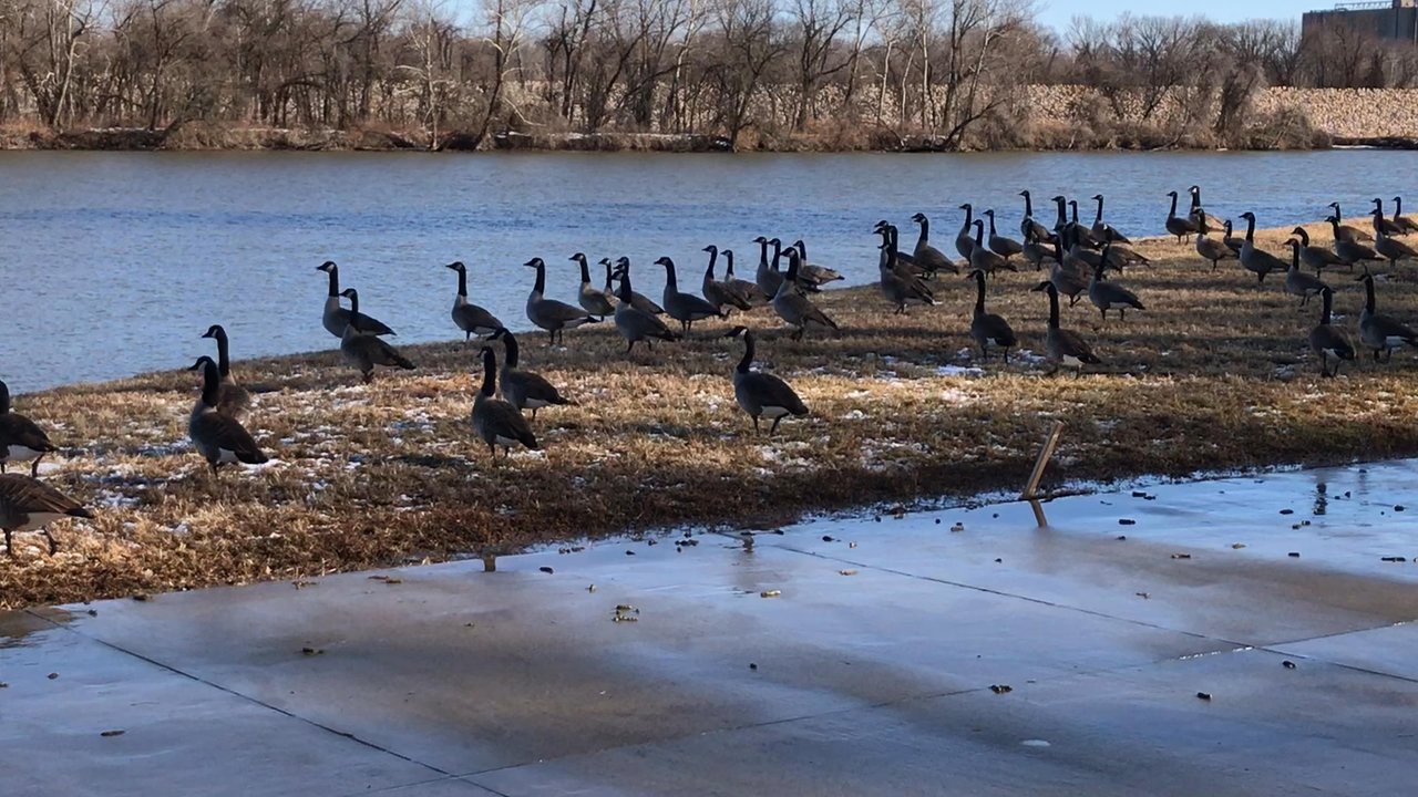 Bircham Park - Parks Near Me - Lawrence, Kansas