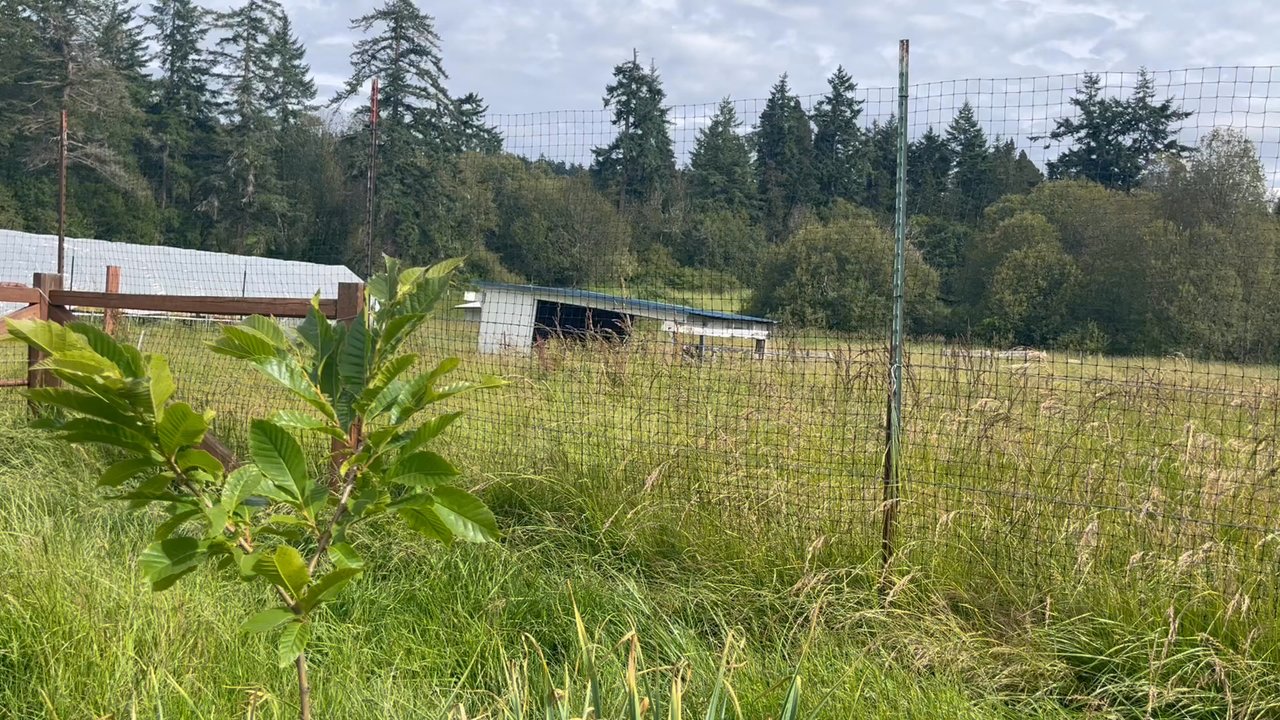 Saturn's Return - Working on the land - Bed & Breakfast Near Me - Friday Harbor, Washington