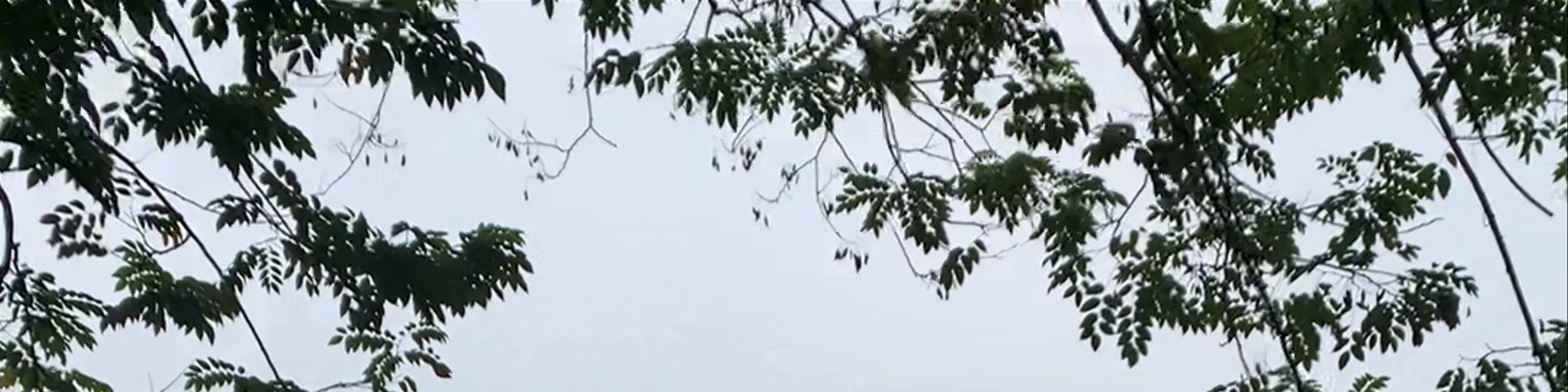 Hoàn Kiếm Lake