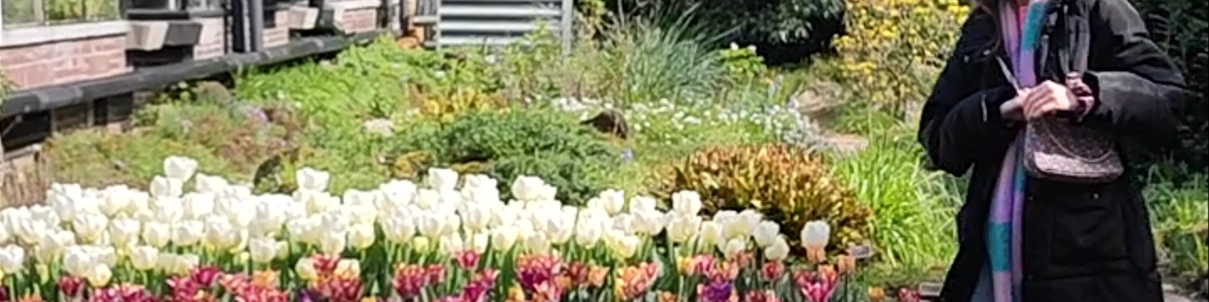 Hortus Botanicus Amsterdam