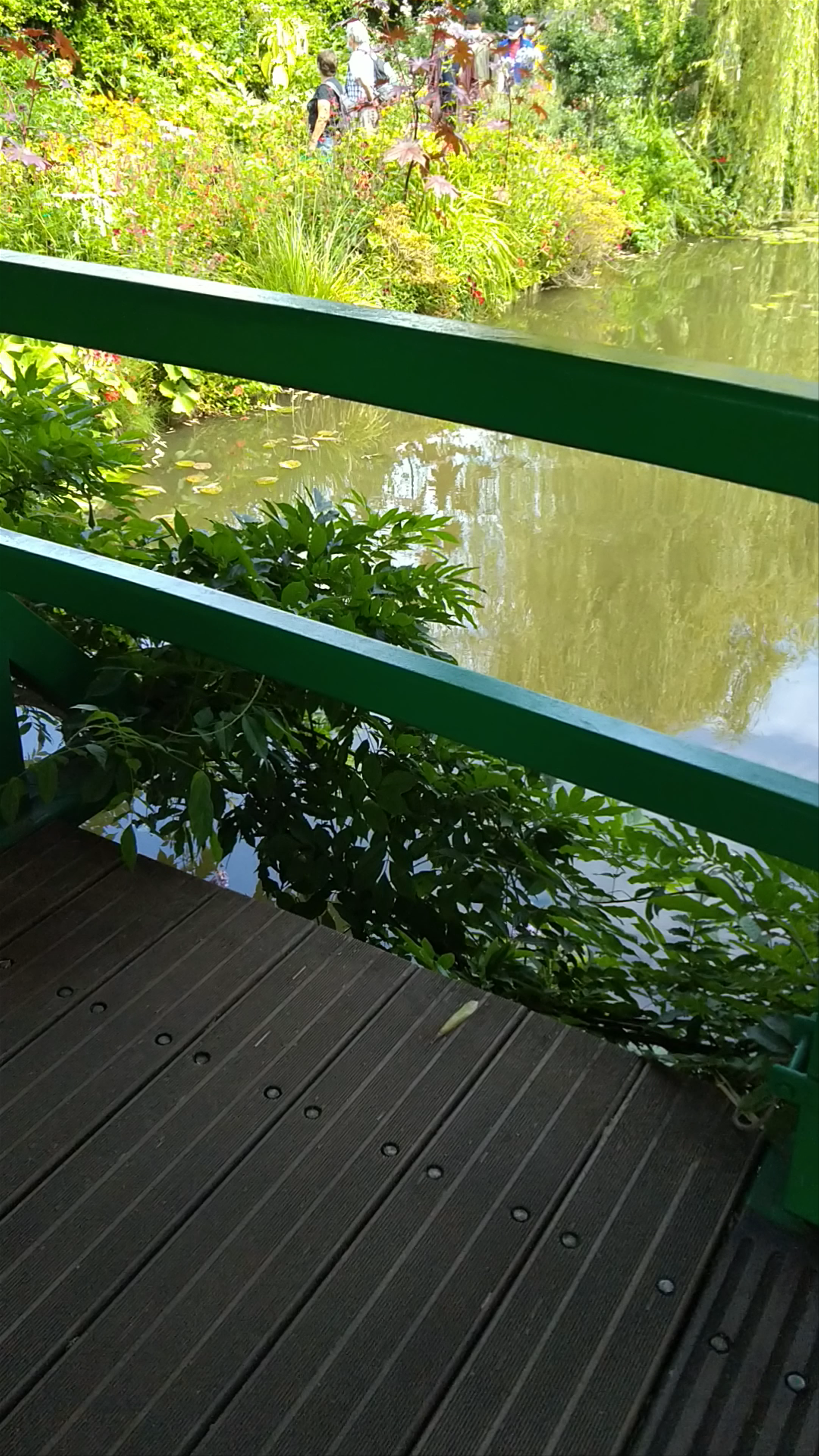 Monet's water lilies garden