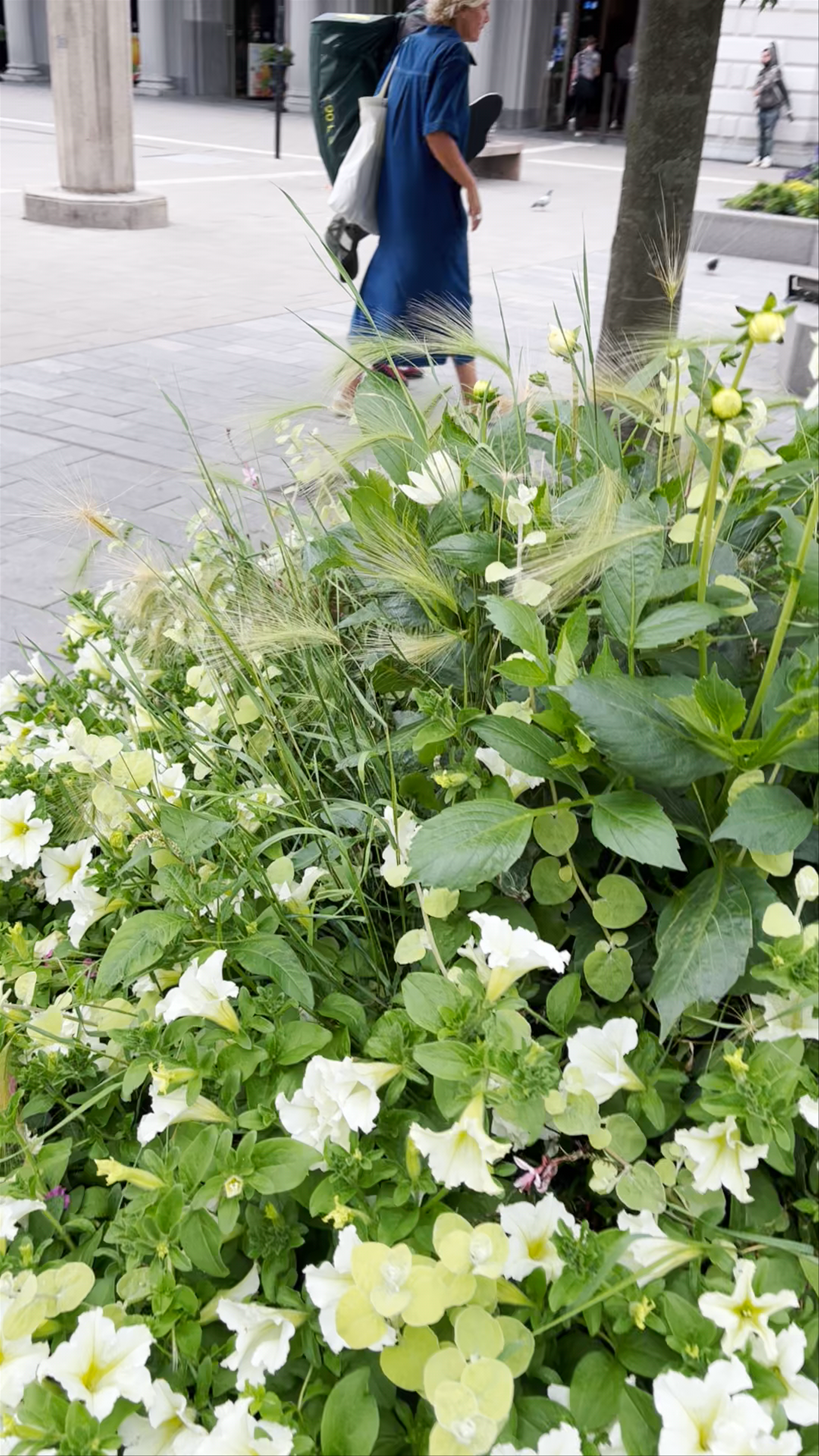 Stockholms Centralstation