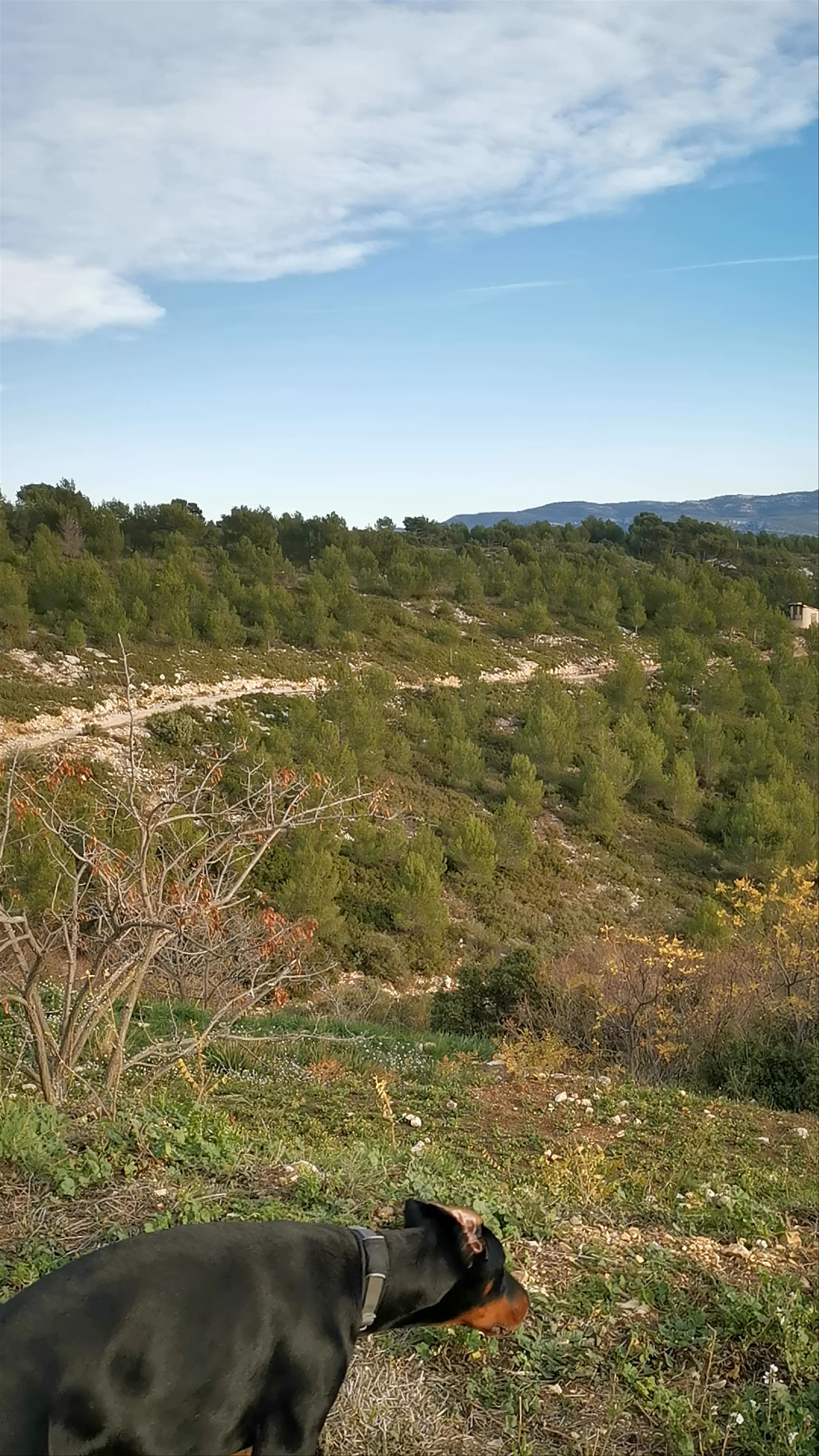 Scenic Nature Hike at Parc de la Negre, Marseille