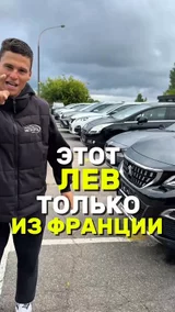 Этот лев только из Франции