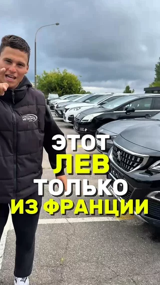 Этот лев только из Франции