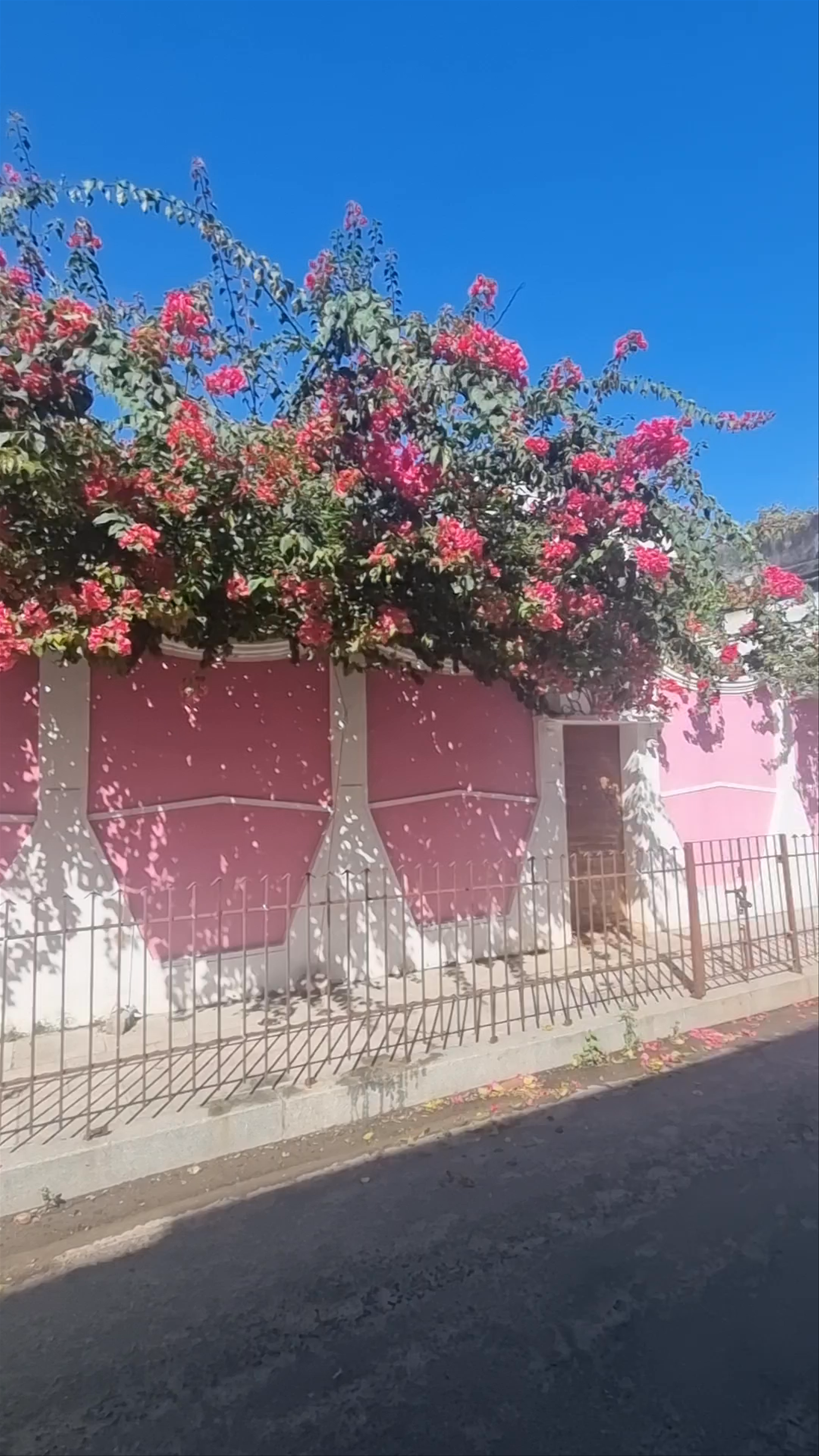 Pondicherry french colony