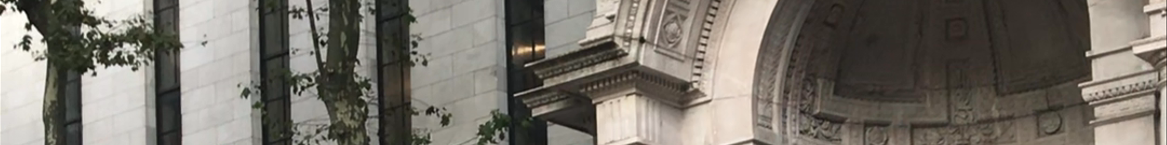 Tours & experiences in New York City