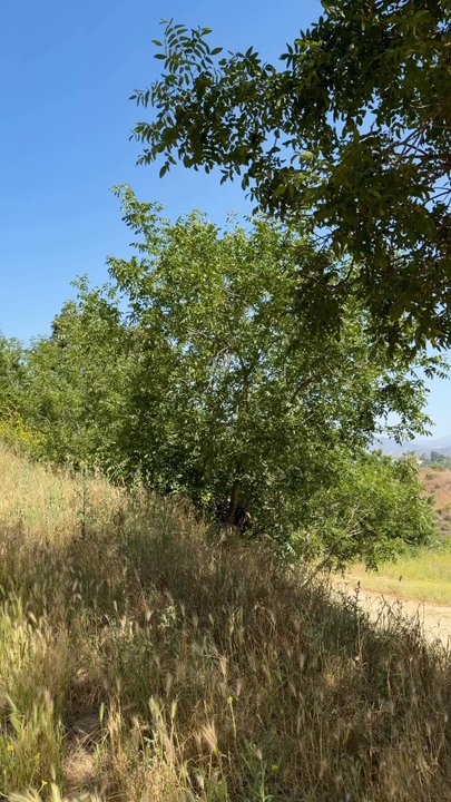Ernest E. Debs Regional Park - Parks Near Me - Los Angeles, California