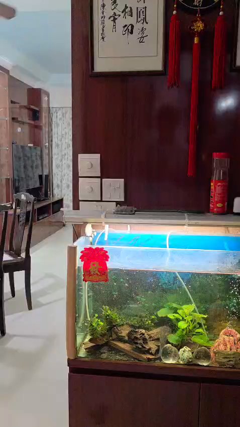 3 Room HDB for Rent in  5A Upper Boon Keng Road - Image 11