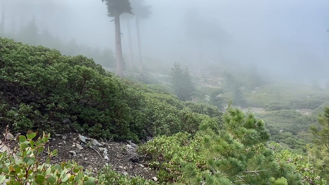 Ontario Peak - What it's like near the summit on a cloudy day. - Hiking Near Me - Mount Baldy, California