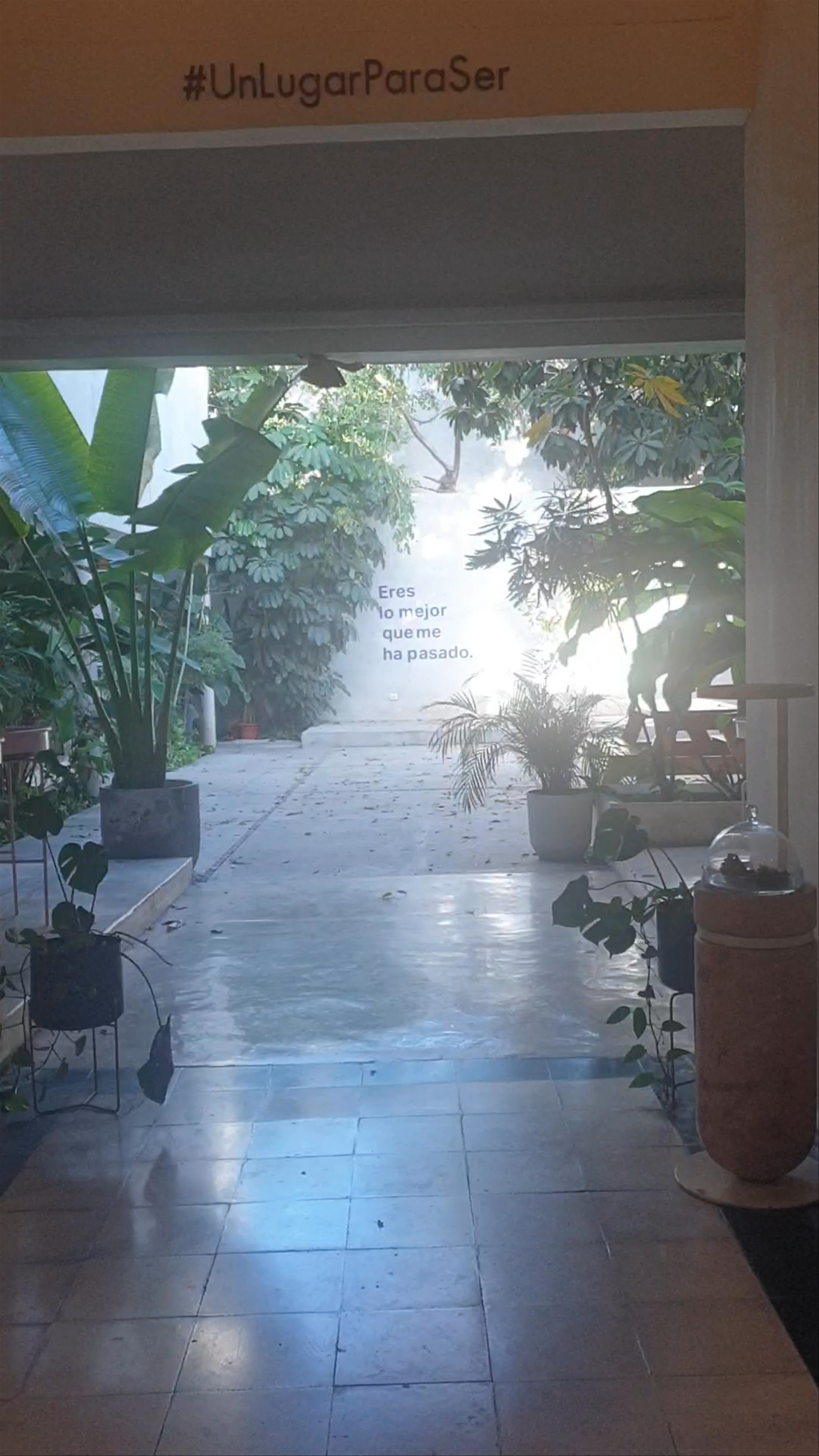 Lagala 56:426 - A Serene Artistic Hideaway in Mérida