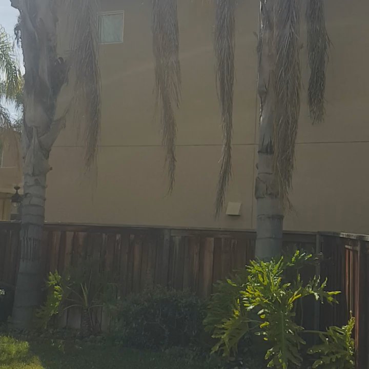 Reg’s Tree Service - Before And After - Tree Services Near Me - Corona, California