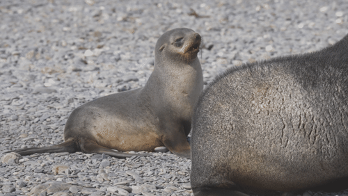 Untitled Work animated gif