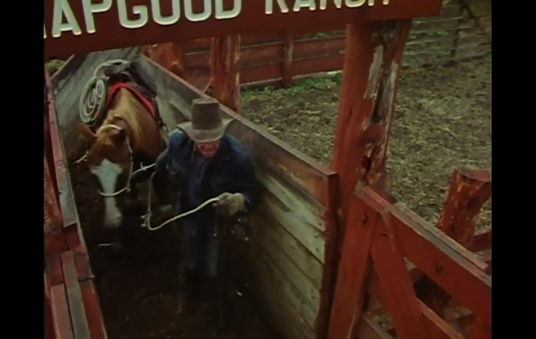 Ranch hands guide saddled horses through a narrow red wooden chute toward a blue metal gate. One worker leans over the rails as another handles the horses below, reflecting the practical work of ranch life.