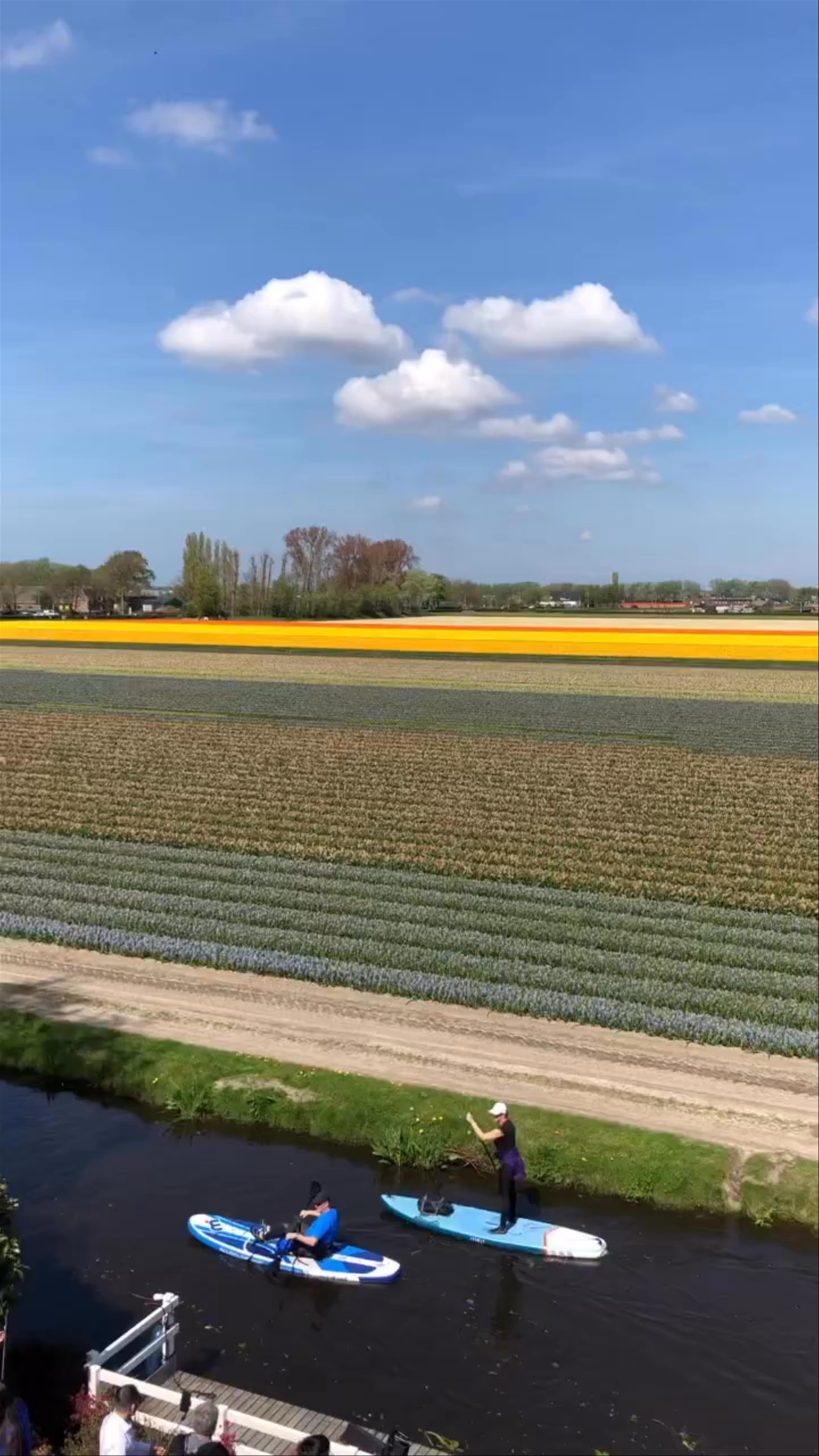 Keukenhof