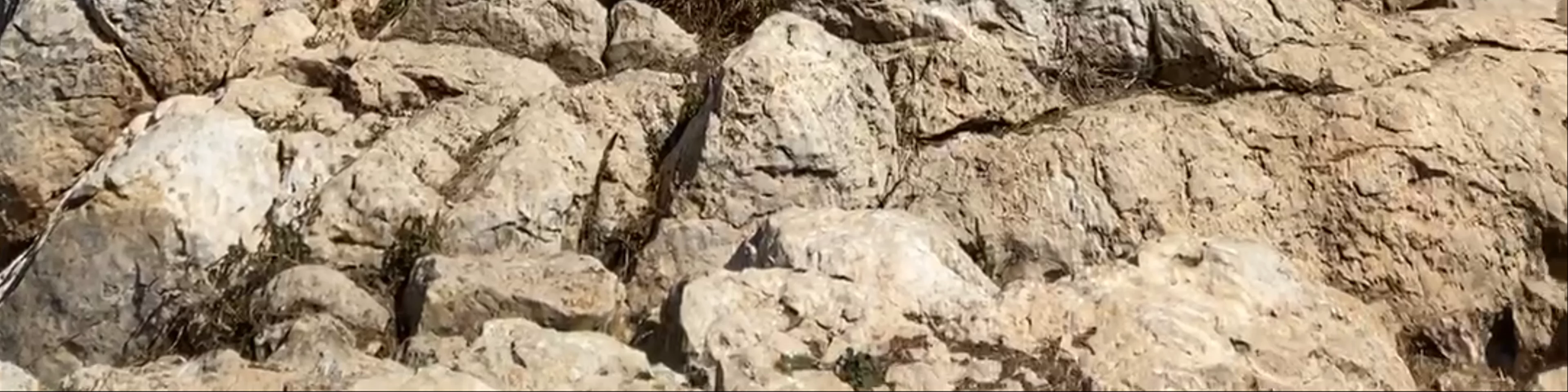 Escalada via Pany(IV+)