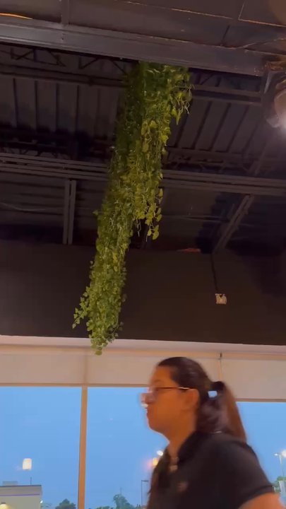 Haka - Pan Asian Near Me - Hicksville, New York