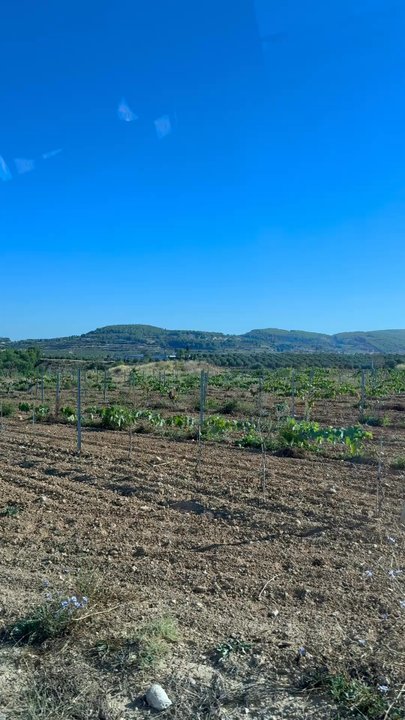 Artcava - Wineries Near Me - Avinyonet del Penedès, B