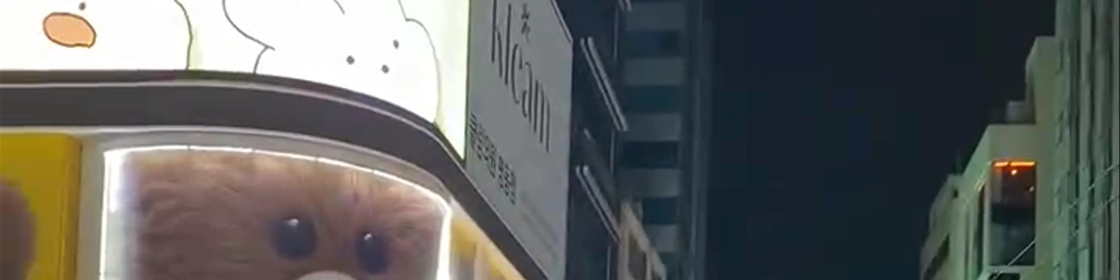 Myeongdong Street