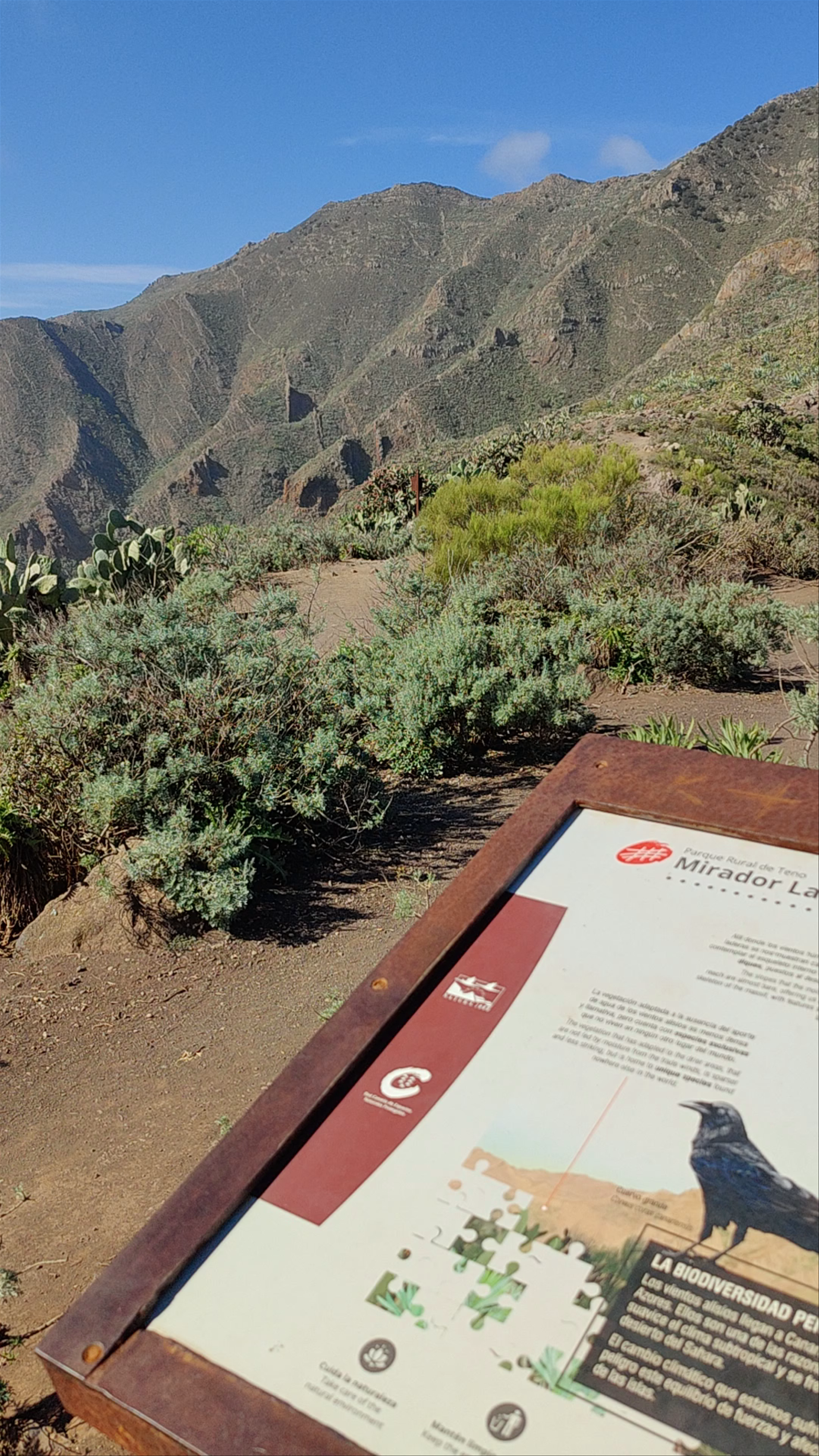 Mirador La Tabaiba