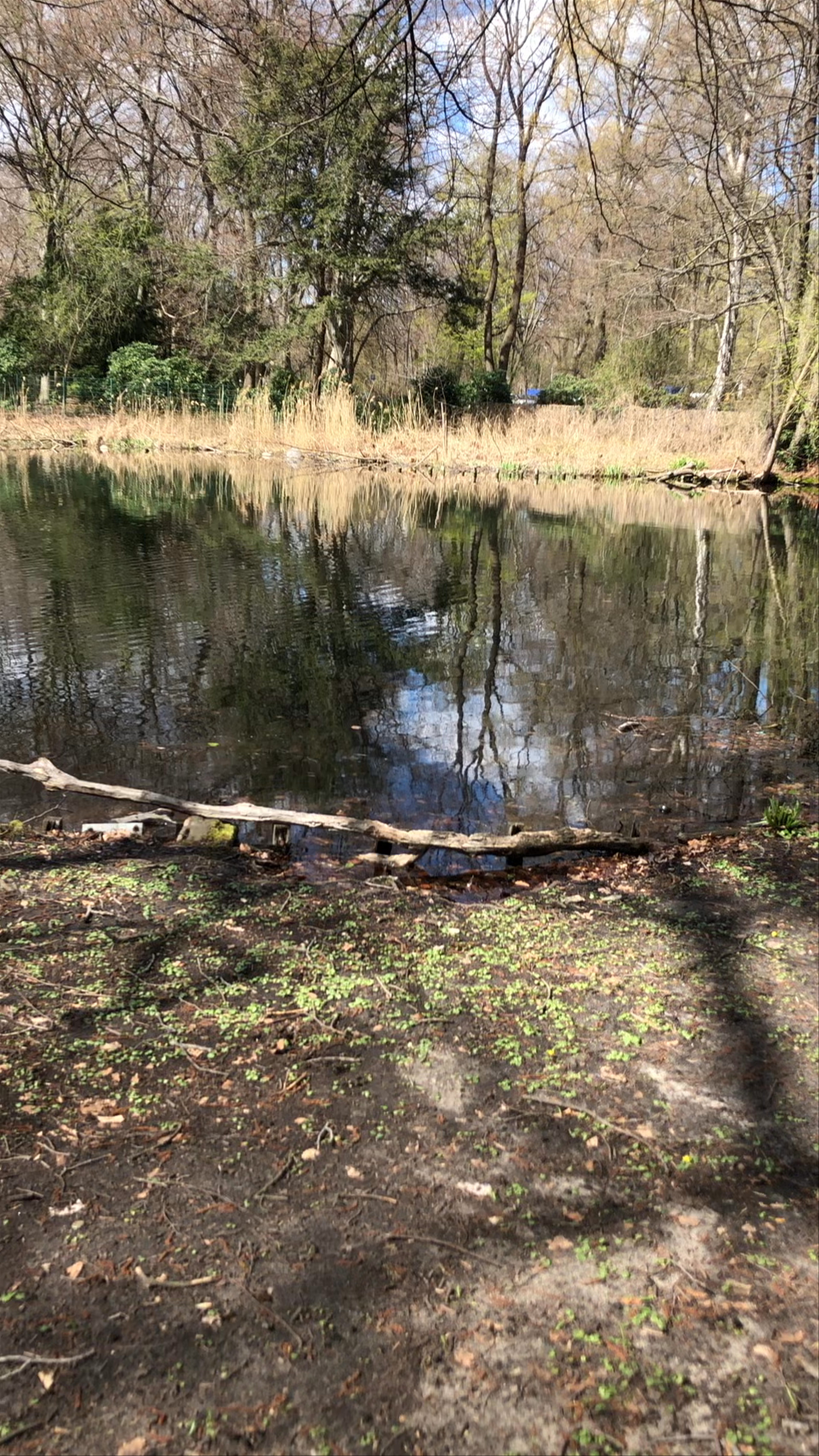 Großer Tiergarten