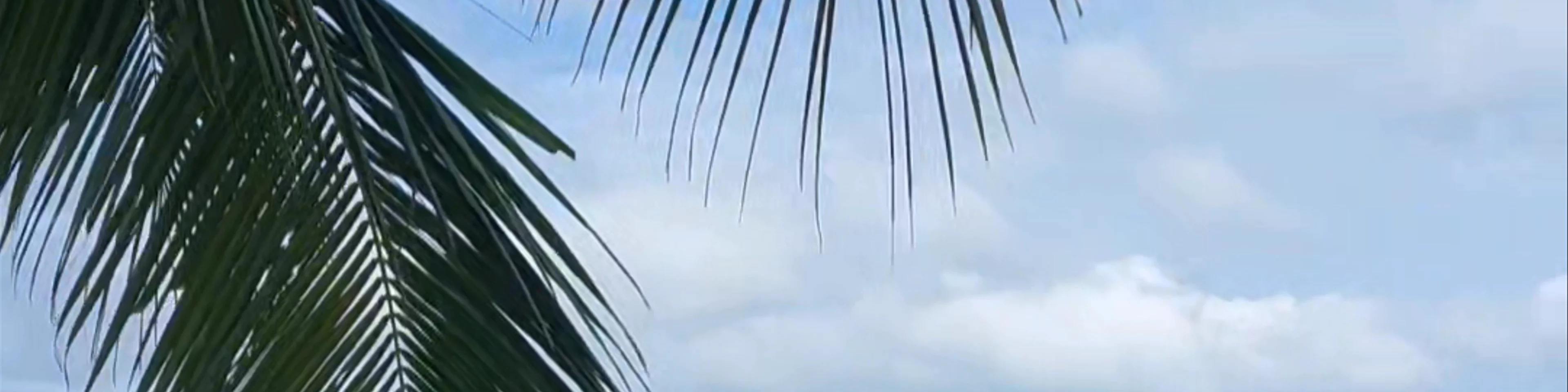 Coconut Beach