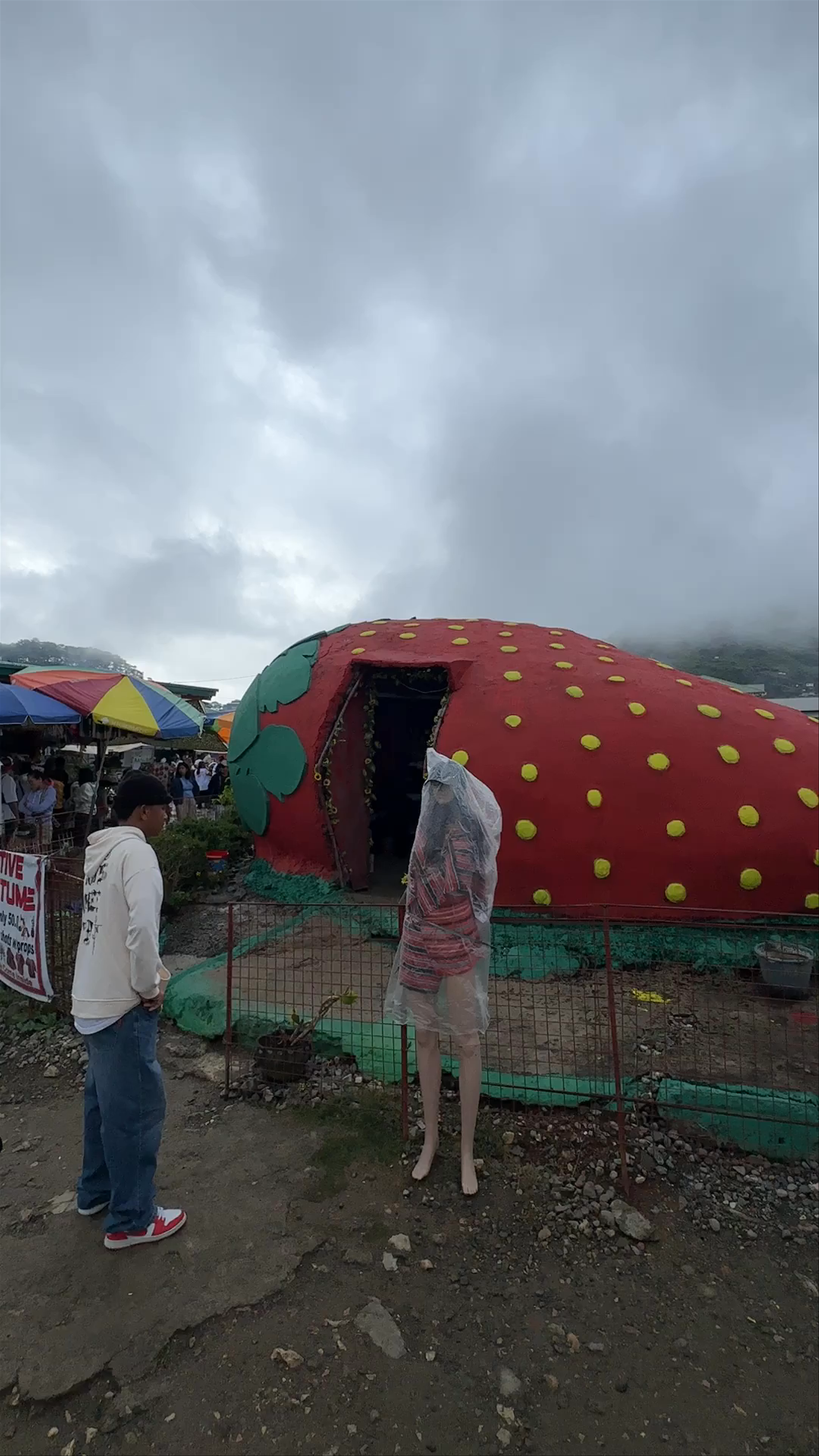 Strawberry Farm - Home of Giant Strawberry Cake