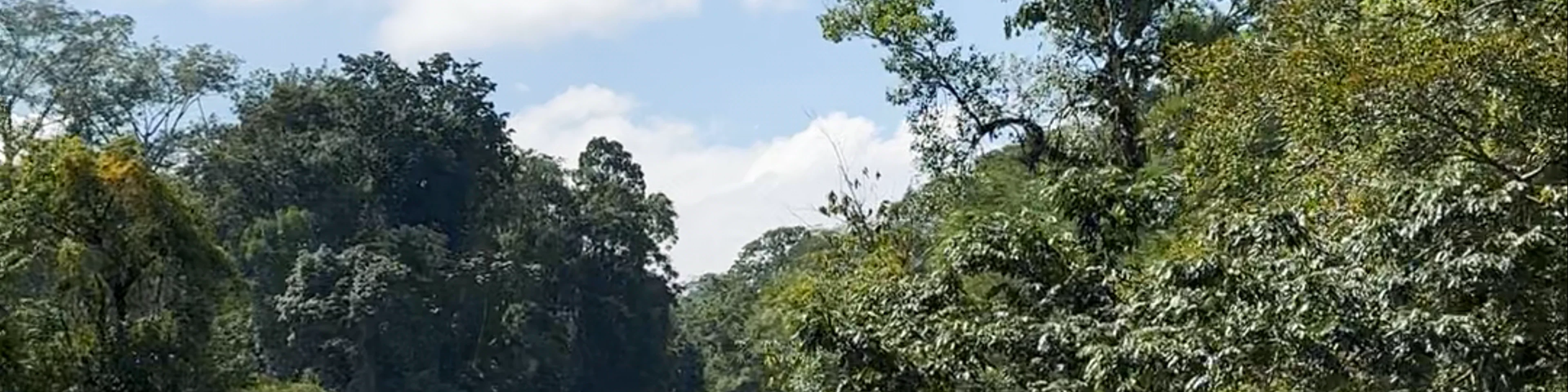 Cascadas de Agua Azul