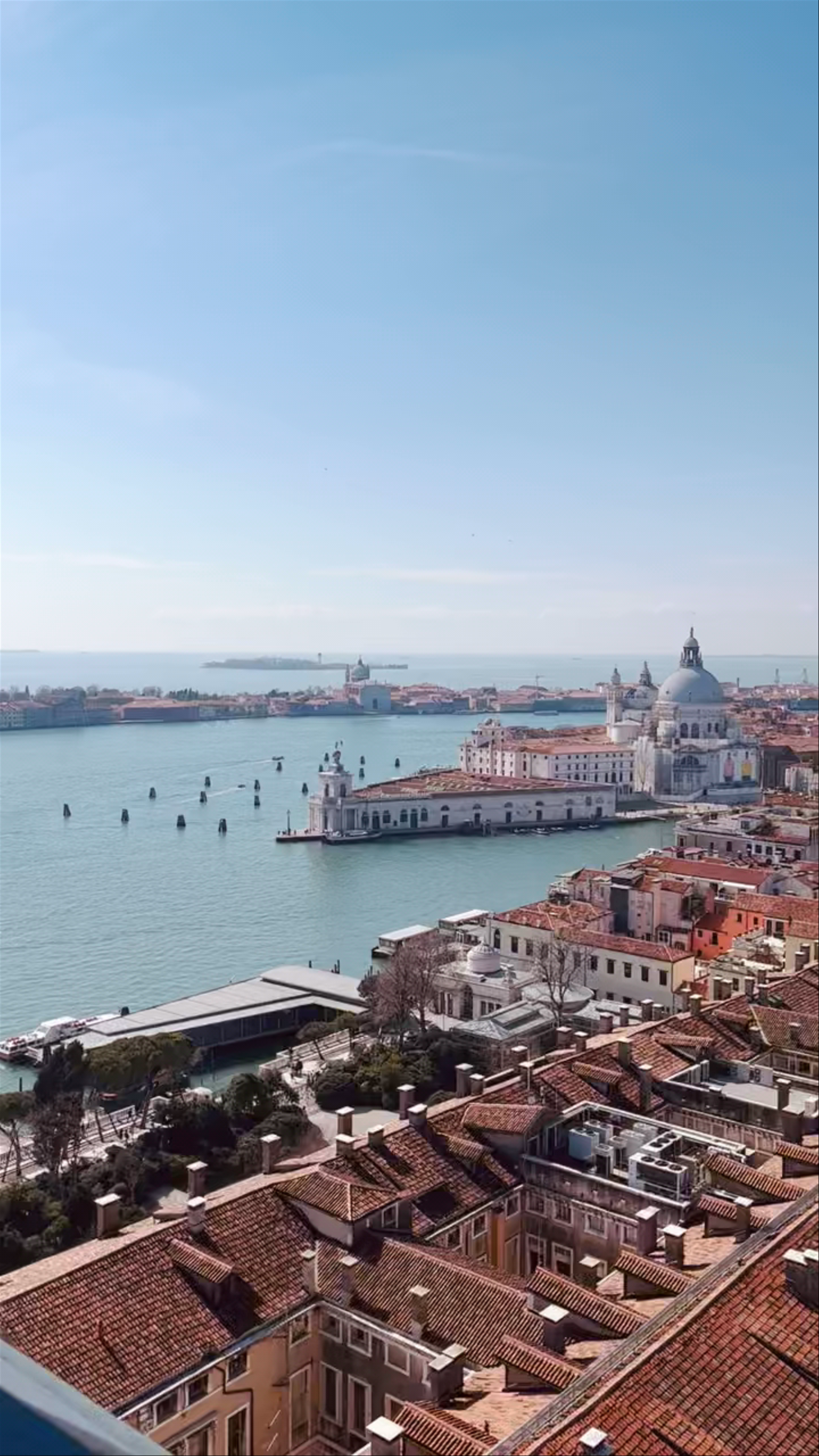 St. Mark's Square