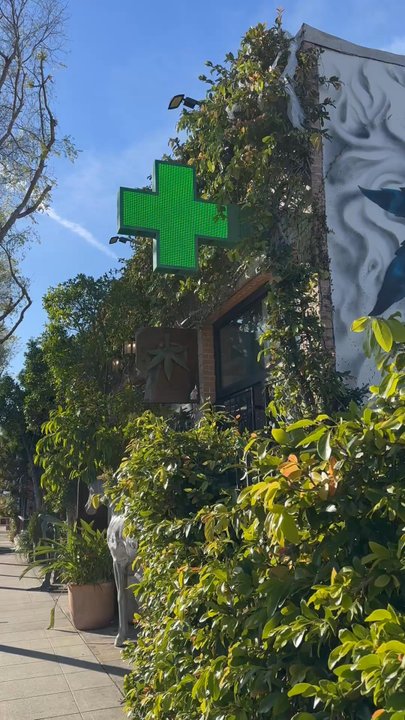 The Woods - Front entrance - Cannabis Dispensaries Near Me - West Hollywood, California