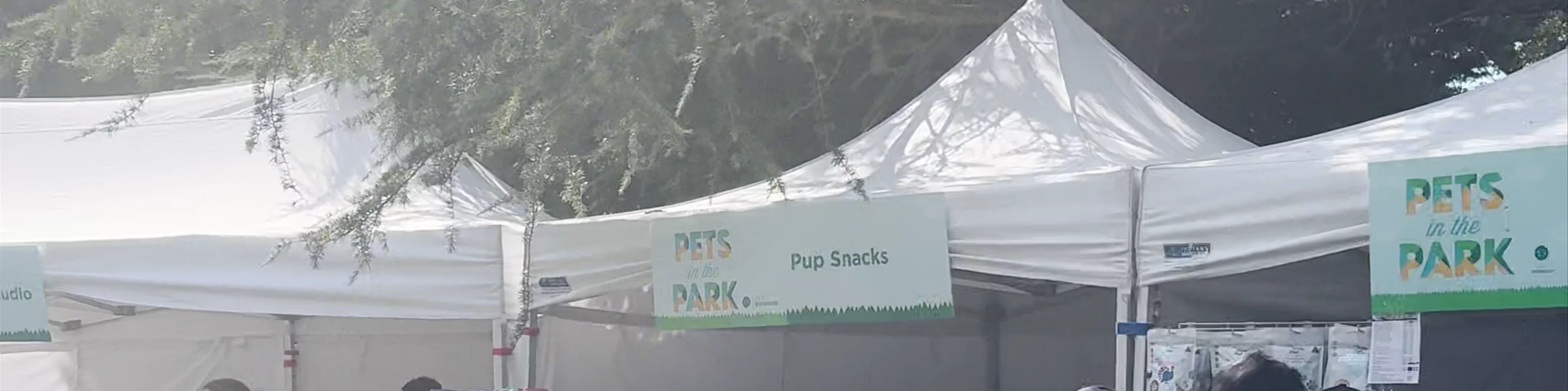 Paws For Support