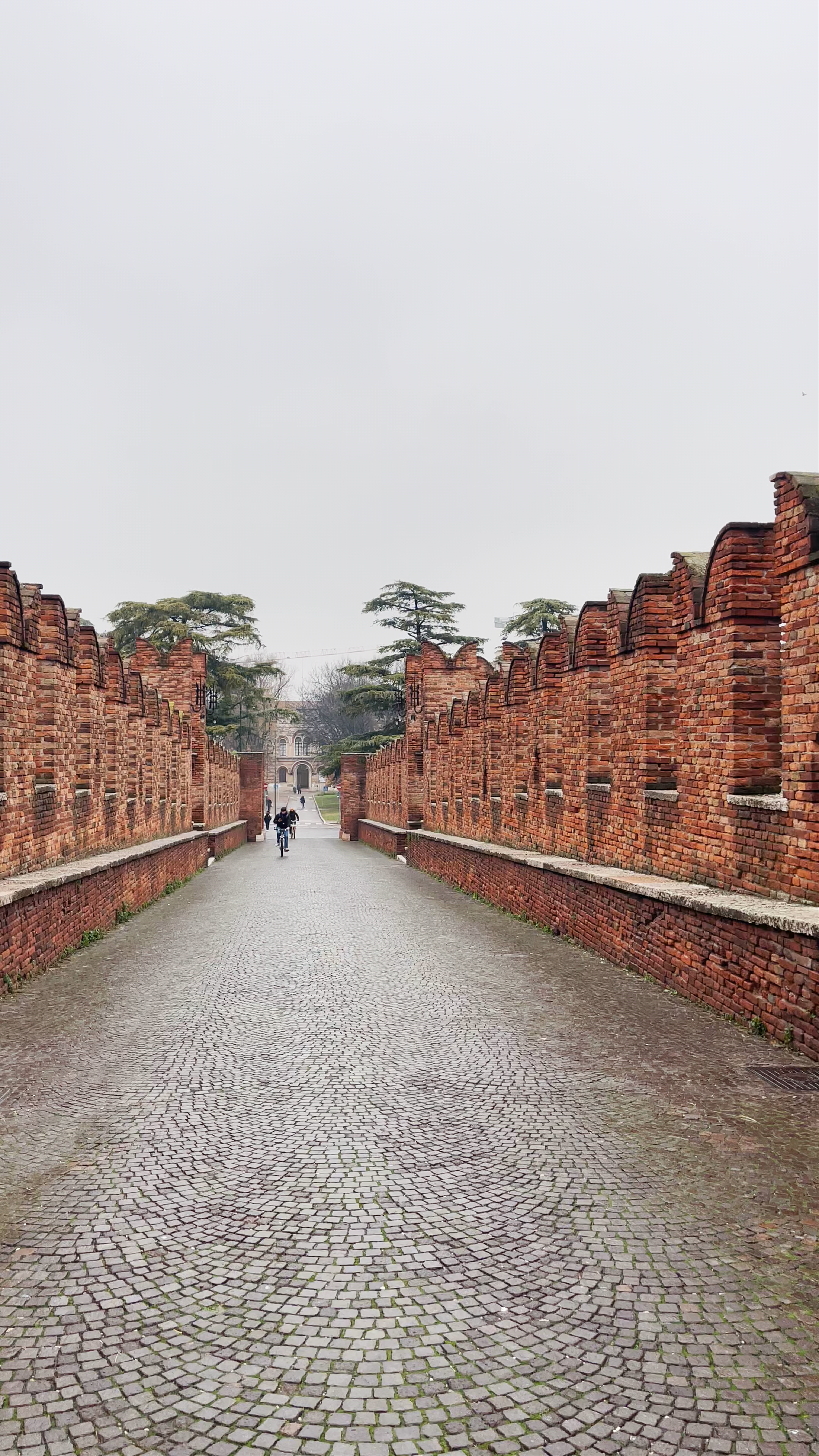Castelvecchio: Walk the Historic Walls of Verona