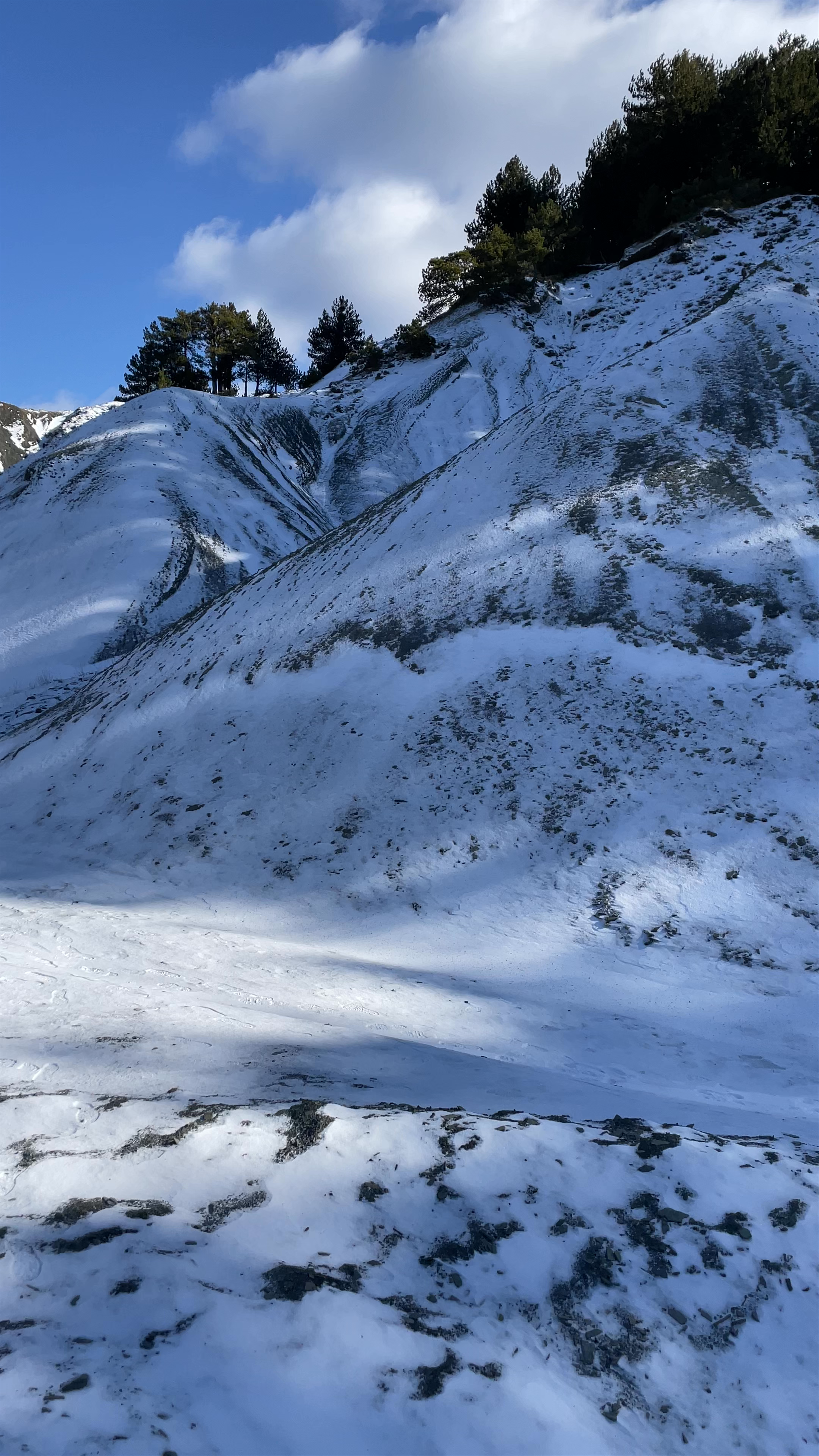 Parku Kombëtar "Mali i Tomorrit"