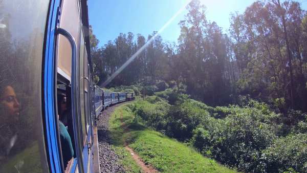 Photo of Nilgiri Mountain Rai