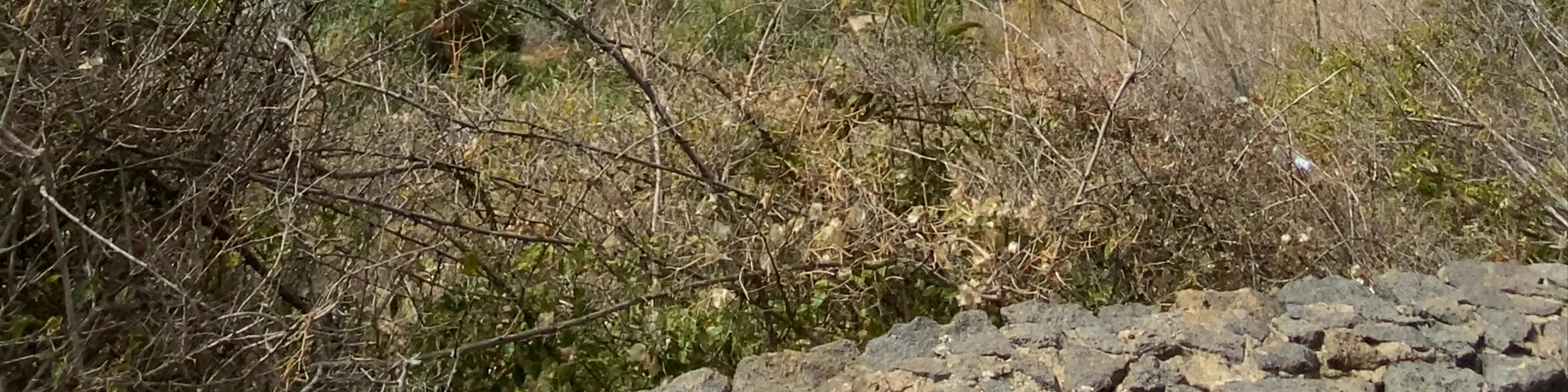Paisaje Protegido de la Rambla de Castro