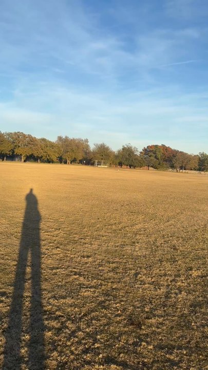 Off Leash K9 Training Texas - Pet Training Near Me - Lewisville, Texas