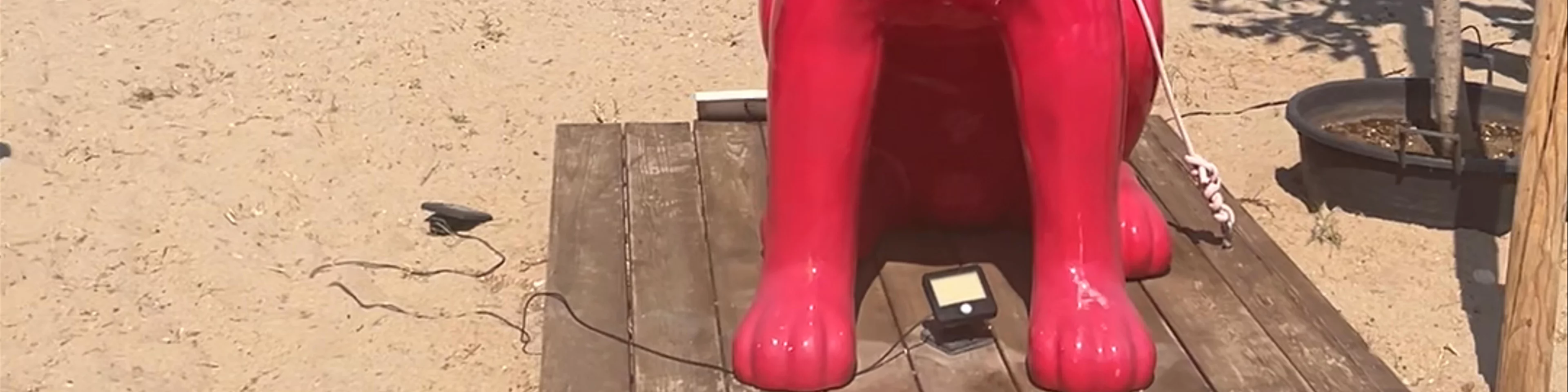 Wet wet beach bar
