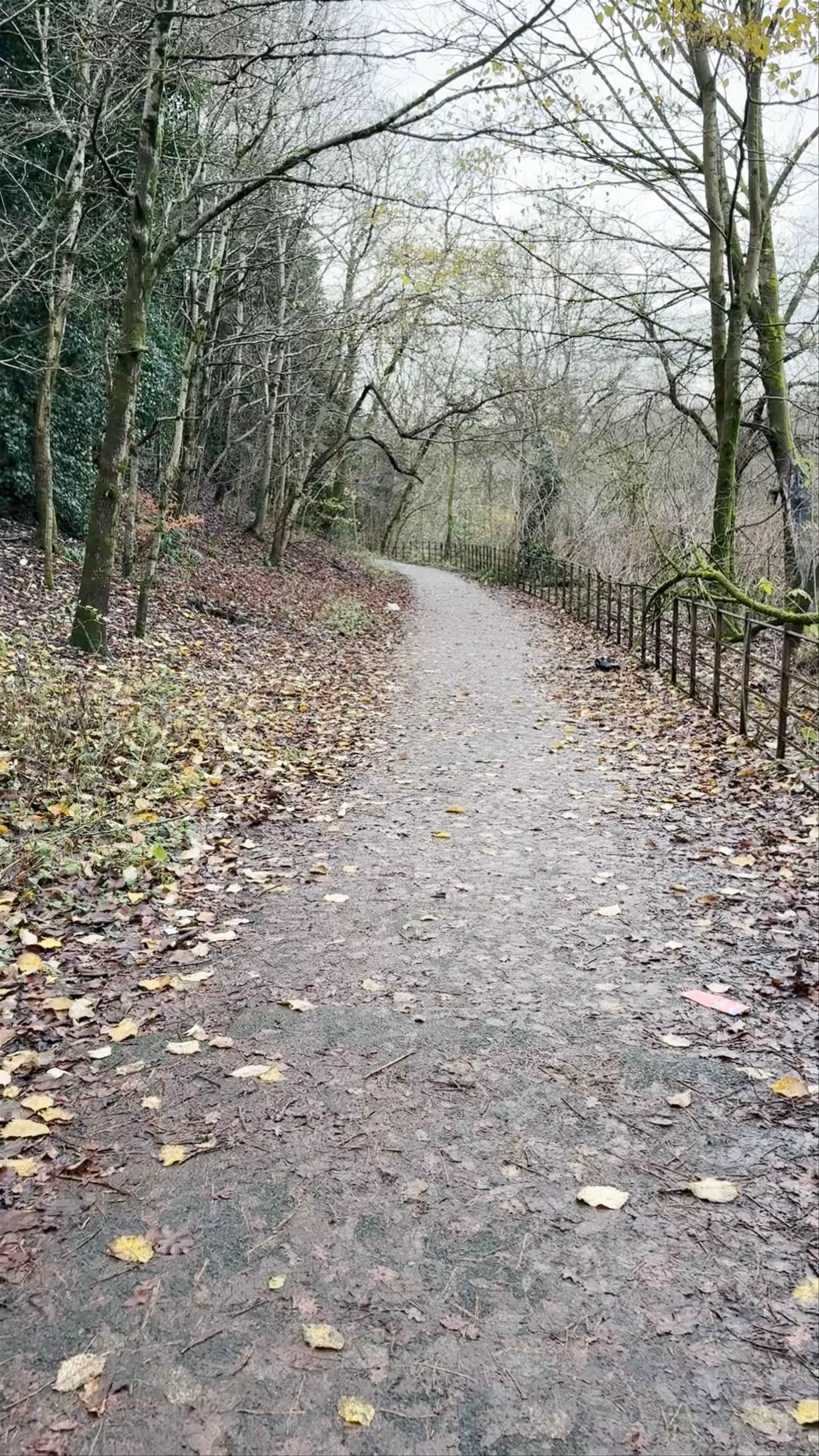 Kelvingrove Park