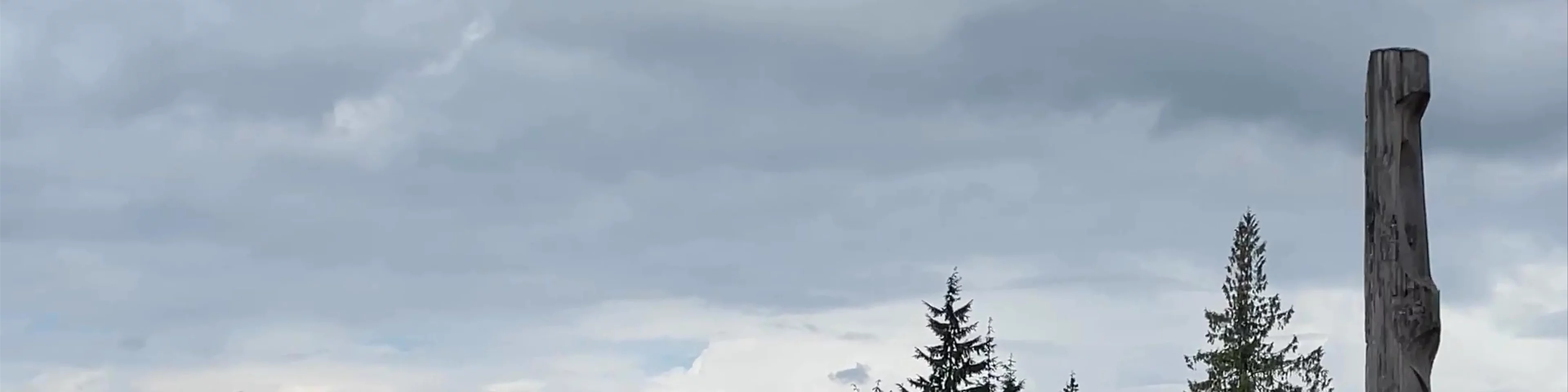 Burnaby Mountain Park