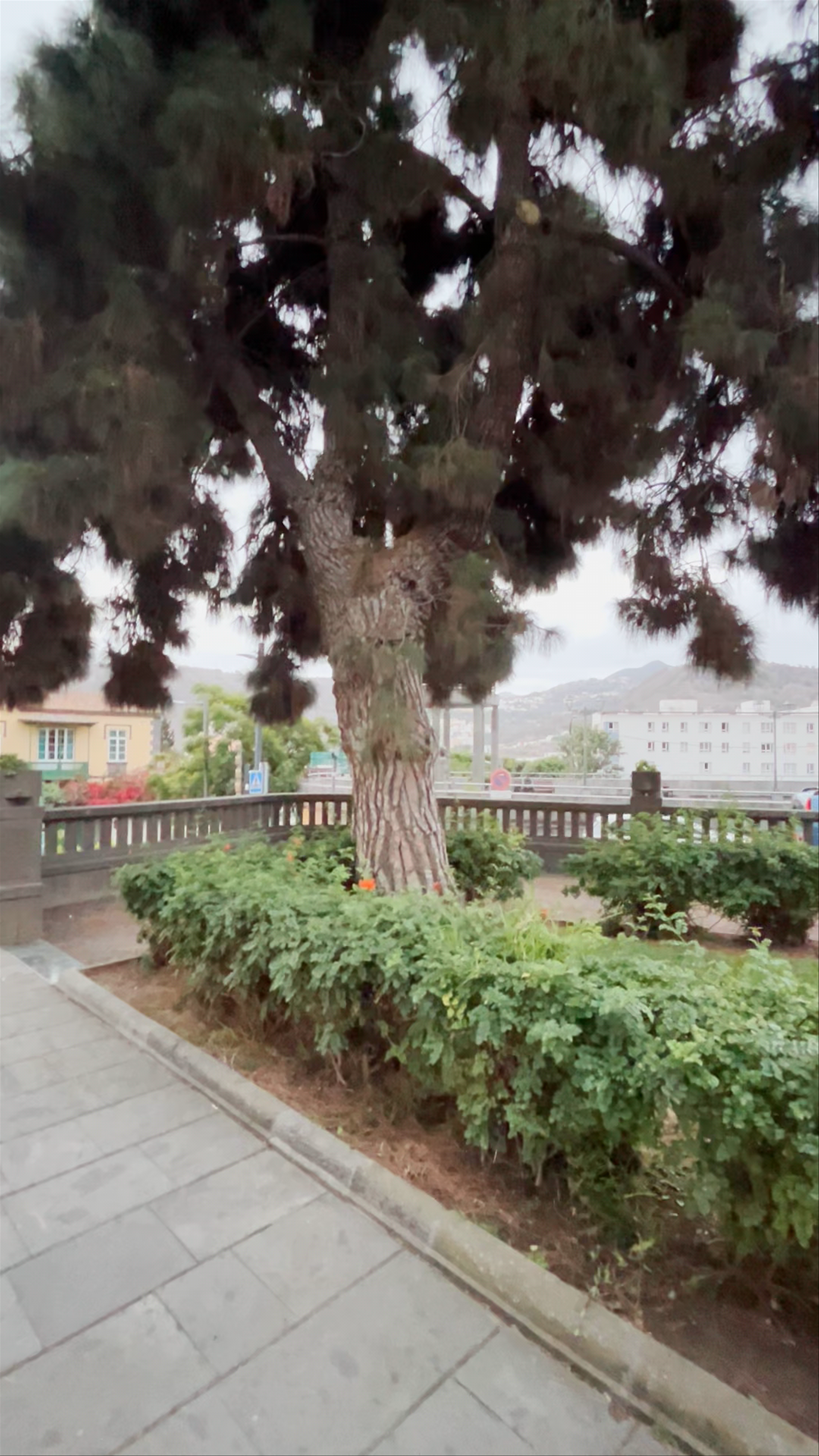 Parroquia de San Juan Bautista de Arucas