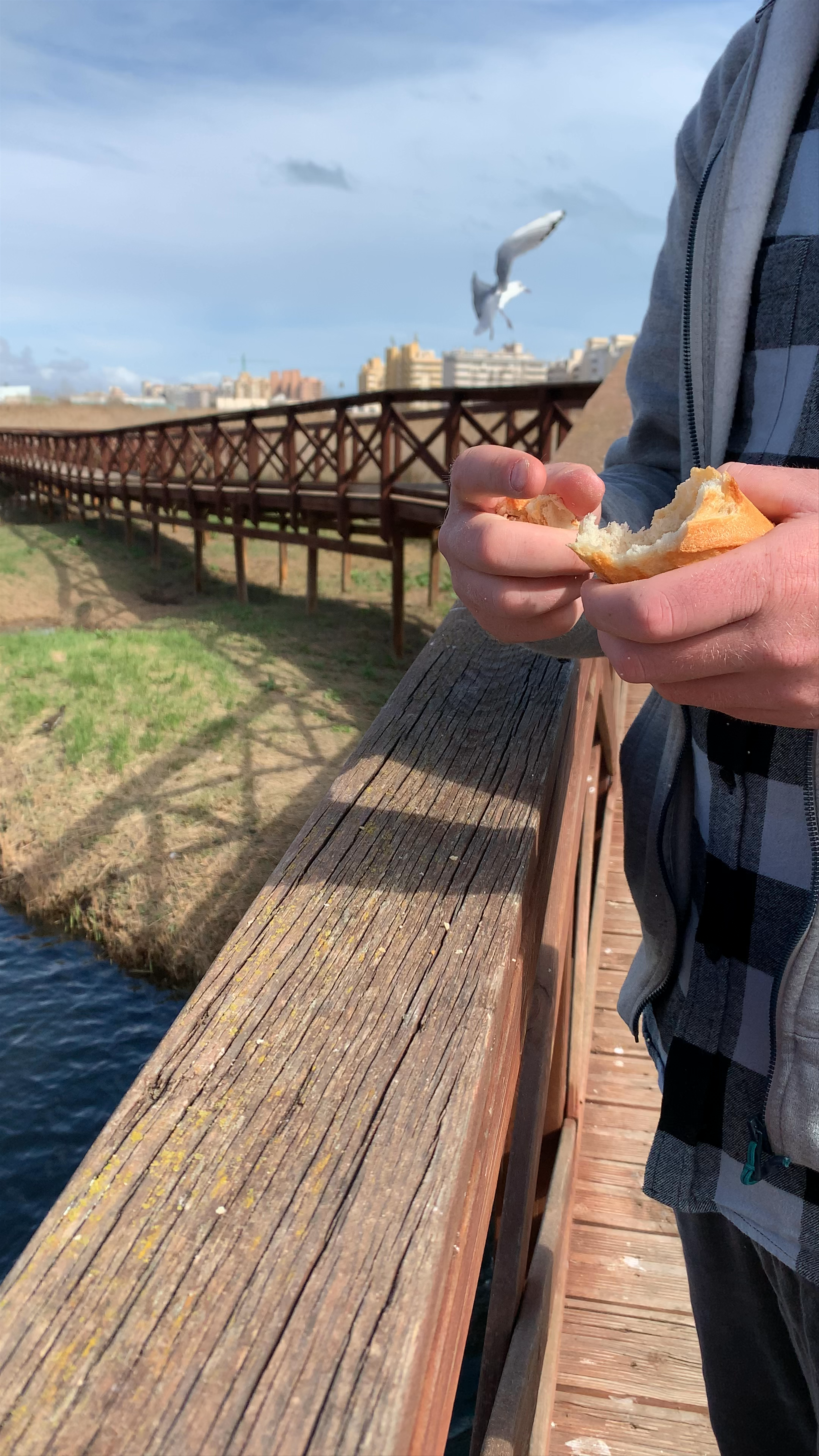 Marjal de Peníscola