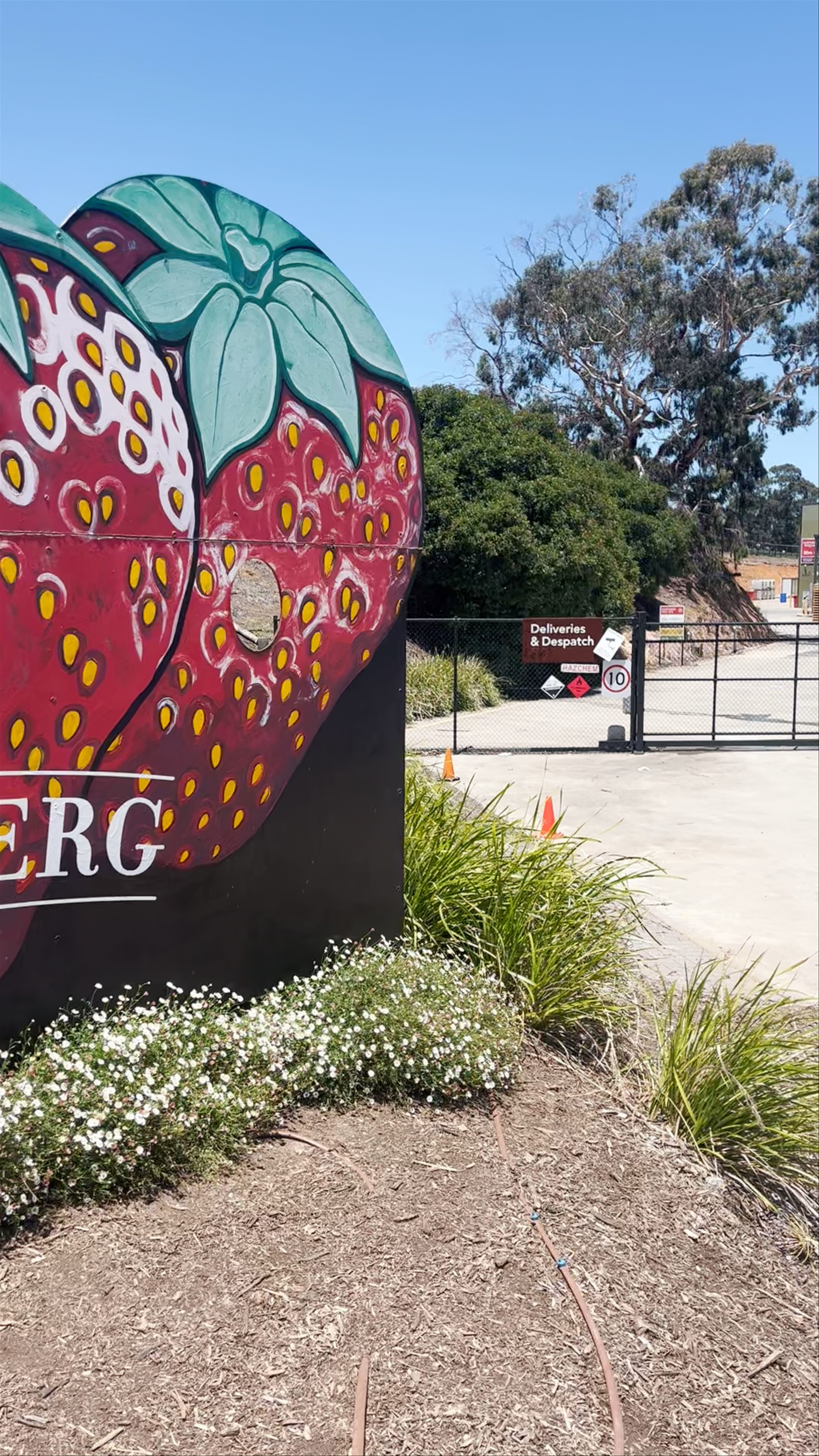 Beerenberg Farm