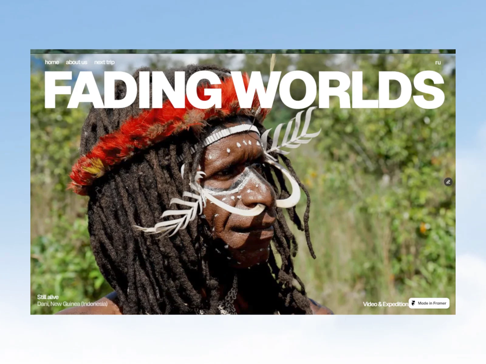 Fading World