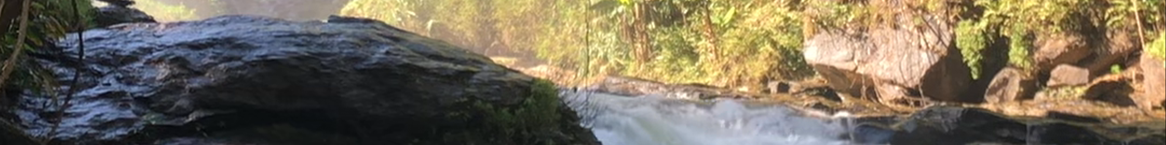 Tours & experiences in Chom Thong