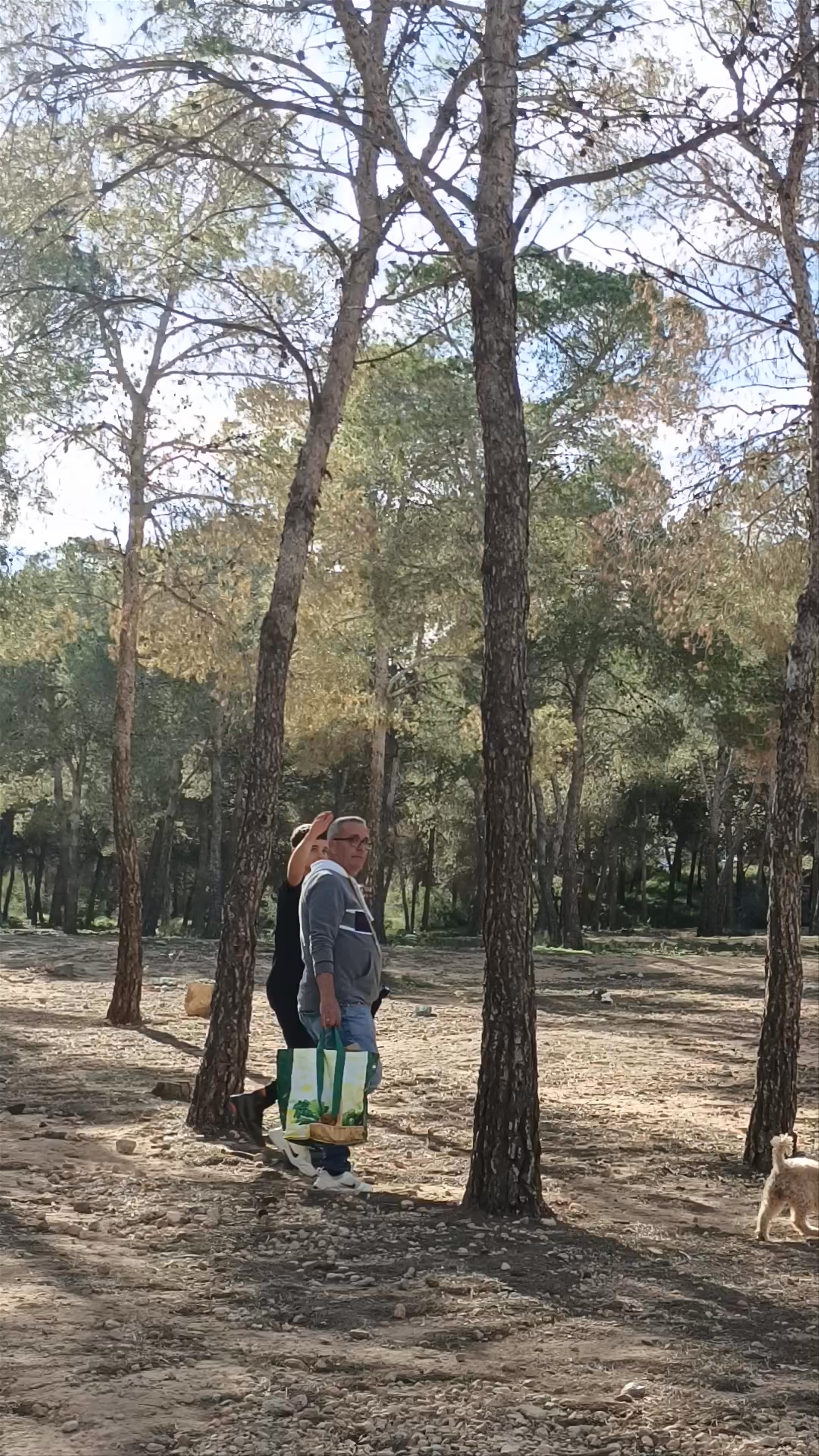 Cresta del Gallo: Serene Pine Forest Escape in Algezares, Spain