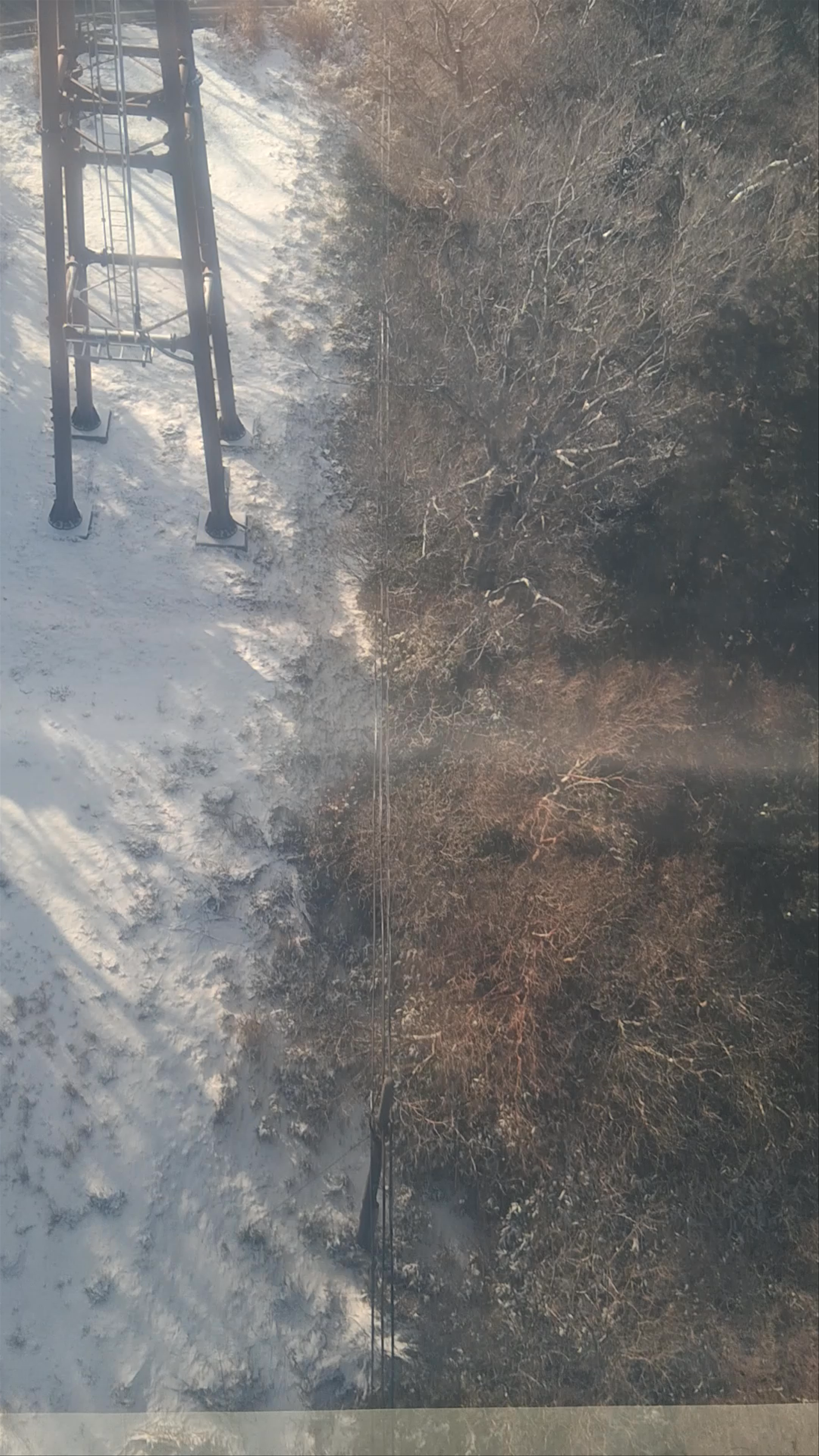 Hakone Ropeway and Lake Ashi (Tobu Top Tours)