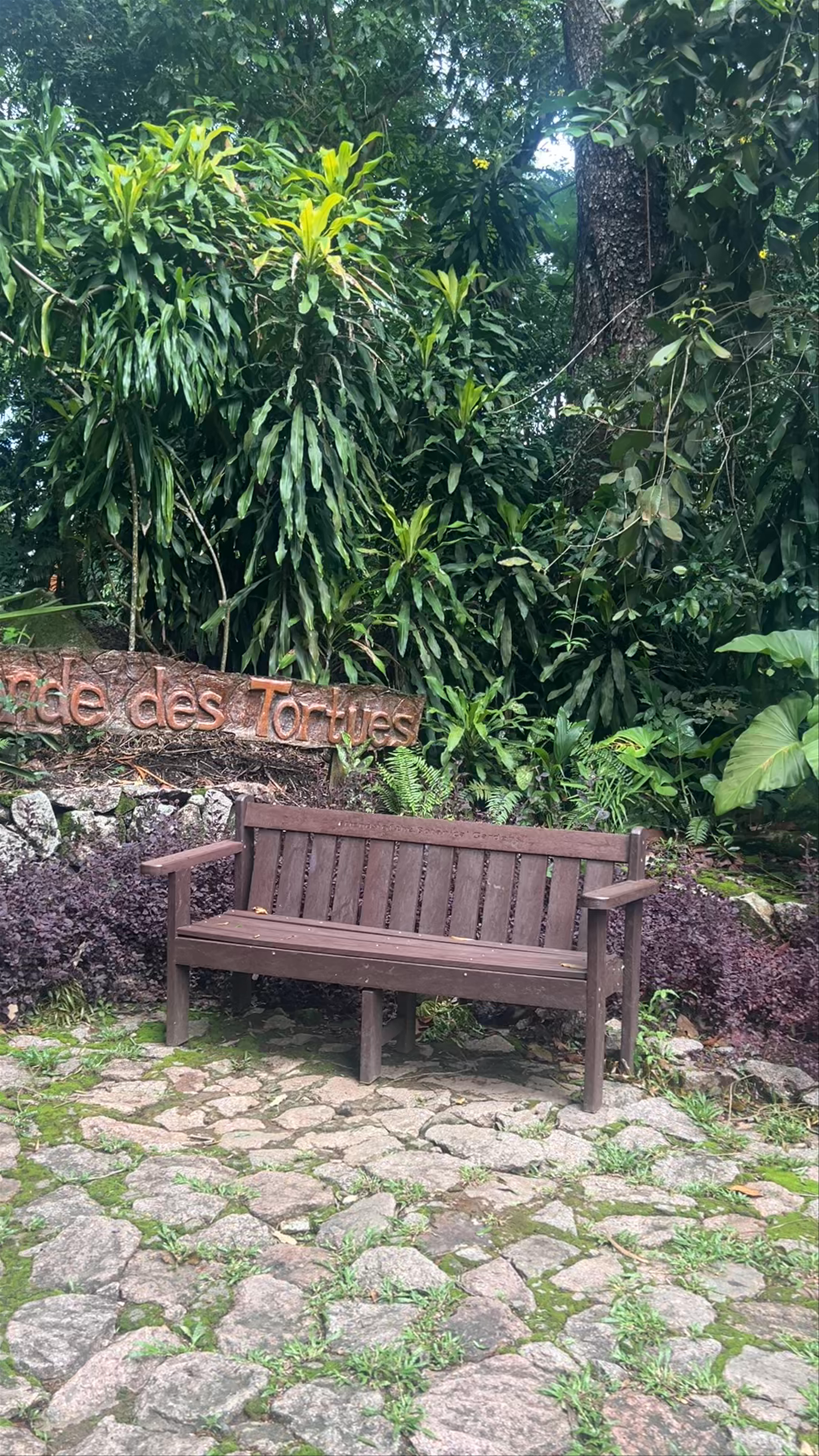 Giant Tortoise Enclosure